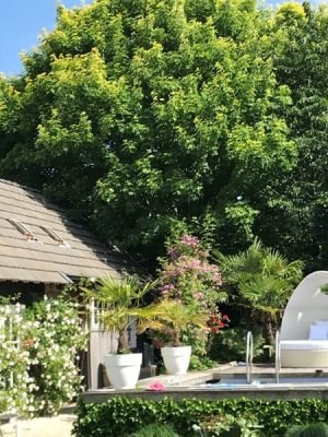 Loungebank Siena bezorgd in Hilvarenbeek