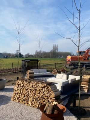 Concept model terras Flaxfield Europe